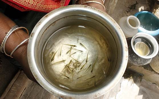 நகராட்சி குடிநீர் வினியோகத்தில் குழாயில் மீன்குஞ்சுகளுடன் வந்த தண்ணீர்